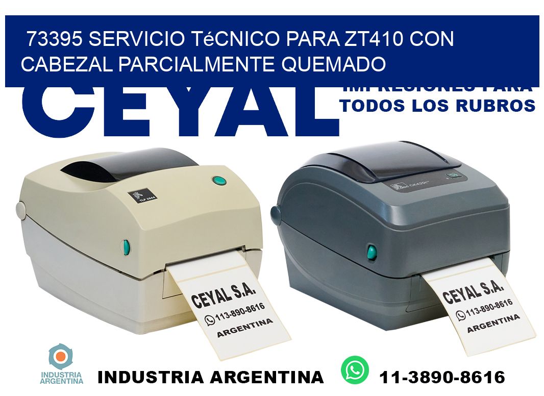73395 servicio técnico para zt410 con cabezal parcialmente quemado