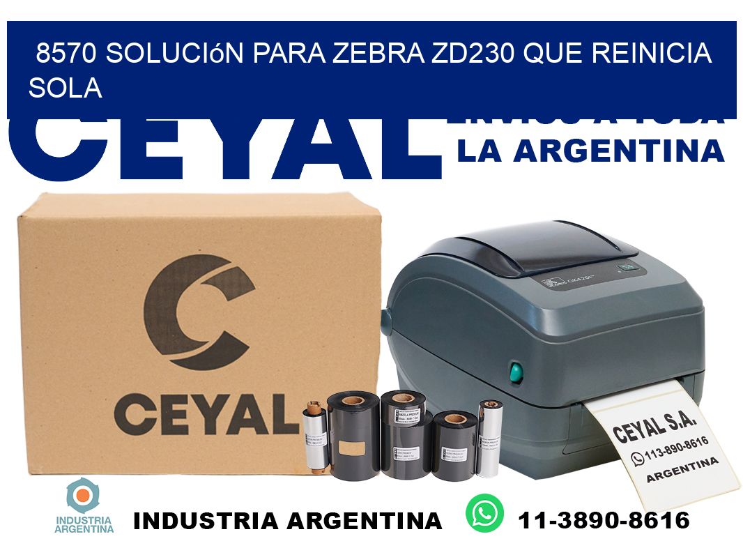 8570 solución para zebra zd230 que reinicia sola