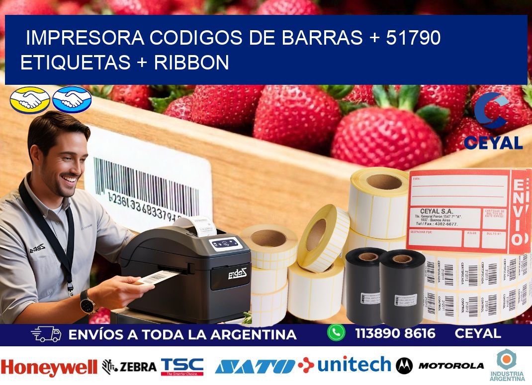 impresora codigos de barras + 51790 etiquetas + ribbon