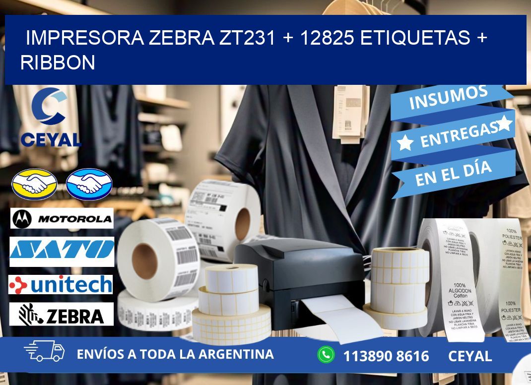 impresora zebra zt231 + 12825 etiquetas + ribbon