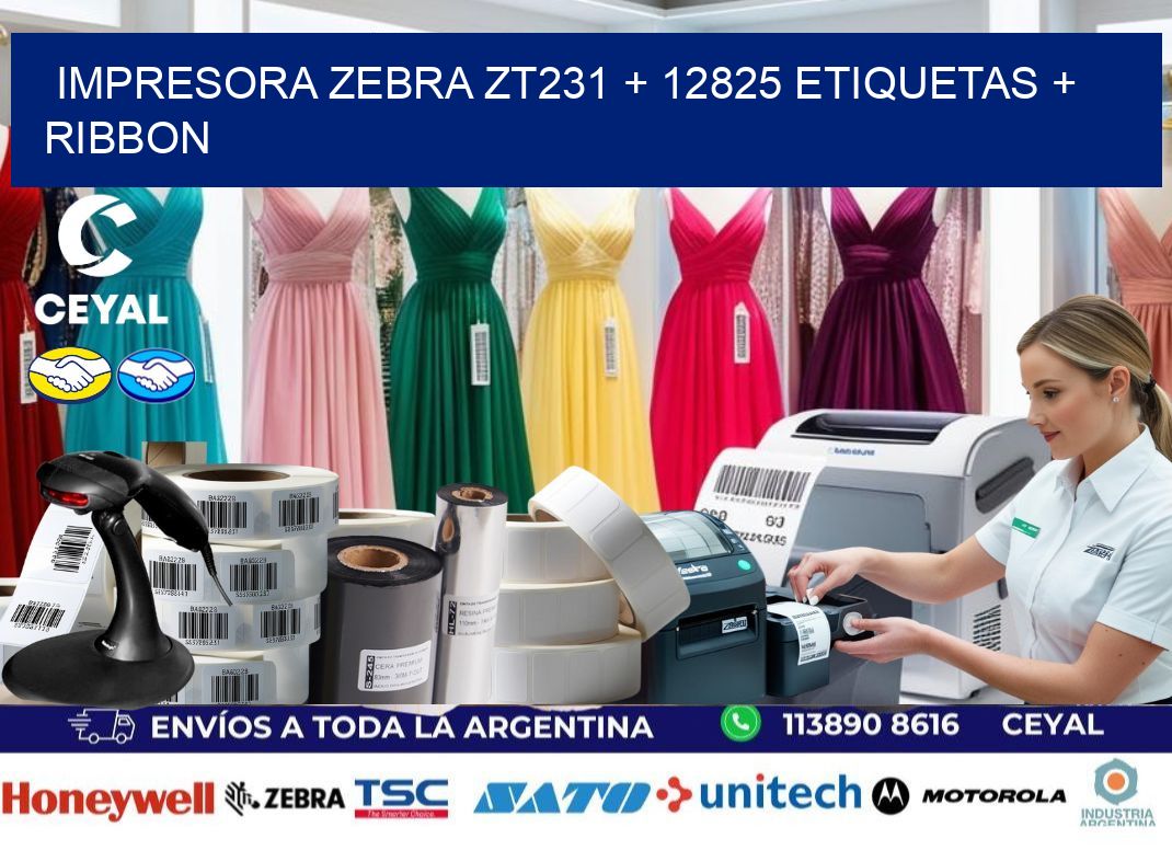 impresora zebra zt231 + 12825 etiquetas + ribbon