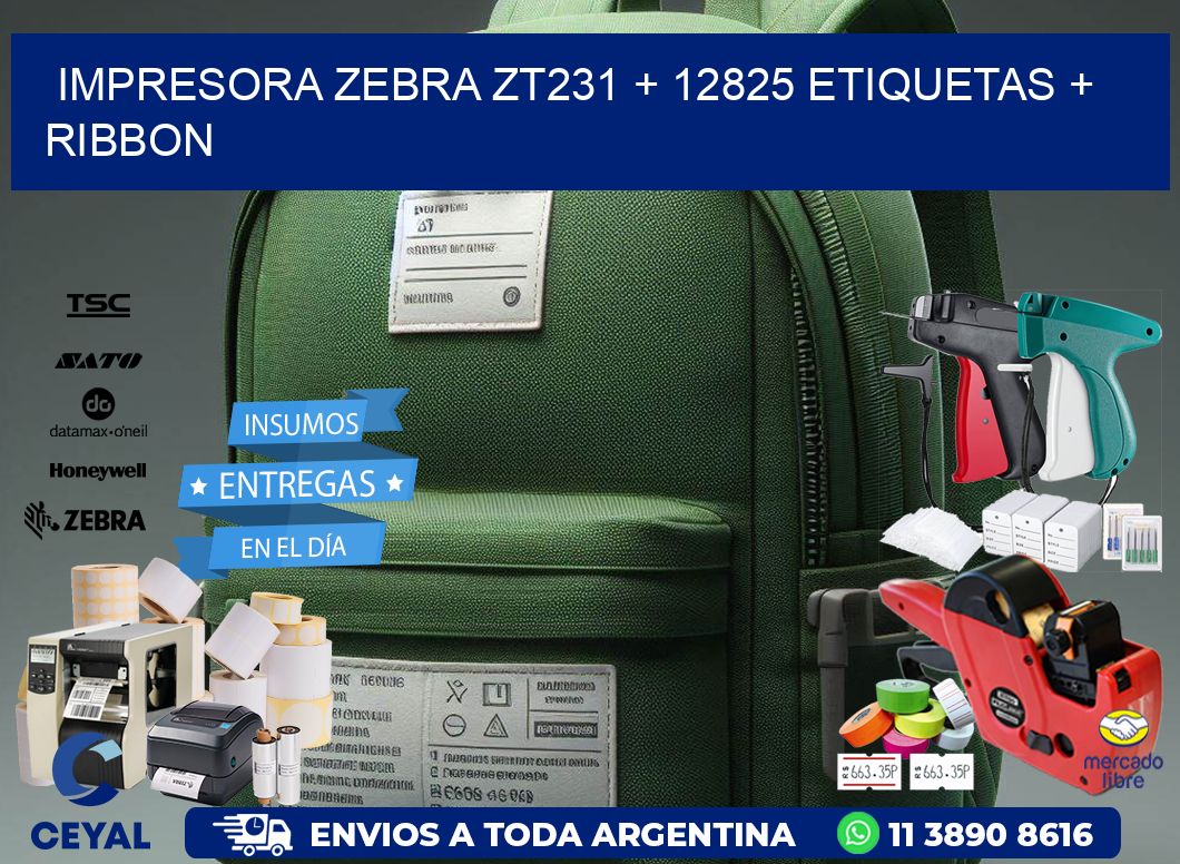 impresora zebra zt231 + 12825 etiquetas + ribbon