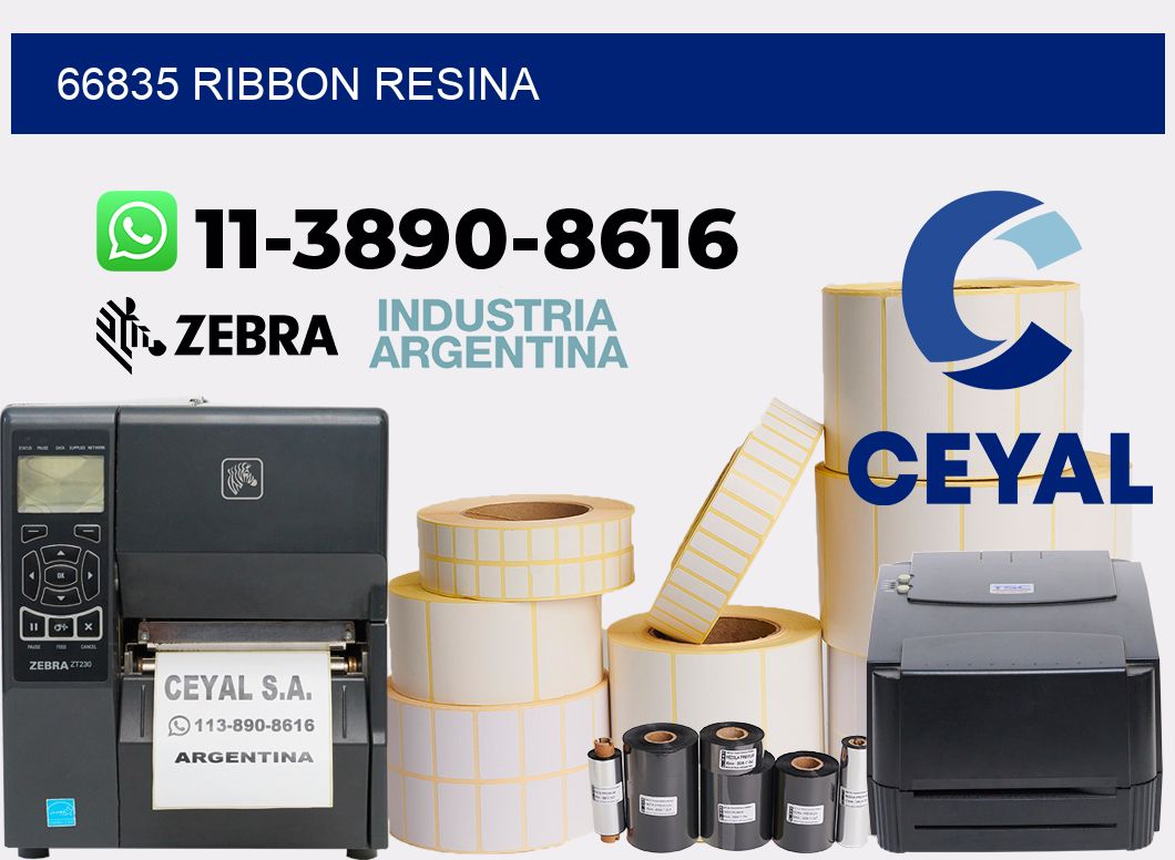 66835 ribbon resina