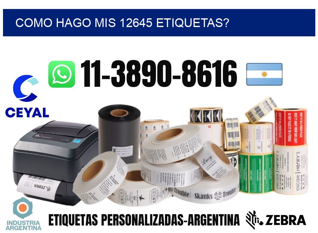 como hago mis 12645 etiquetas?
