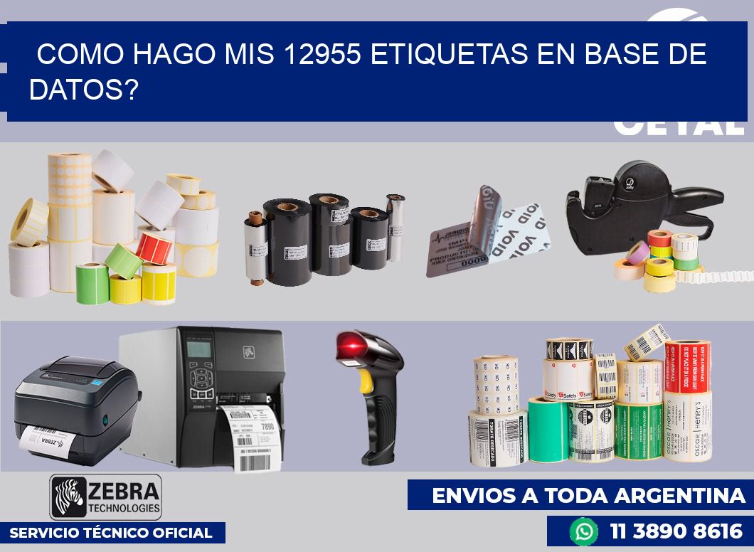 como hago mis 12955 etiquetas en base de datos?