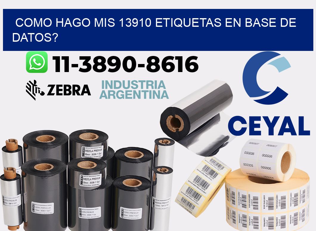 como hago mis 13910 etiquetas en base de datos?