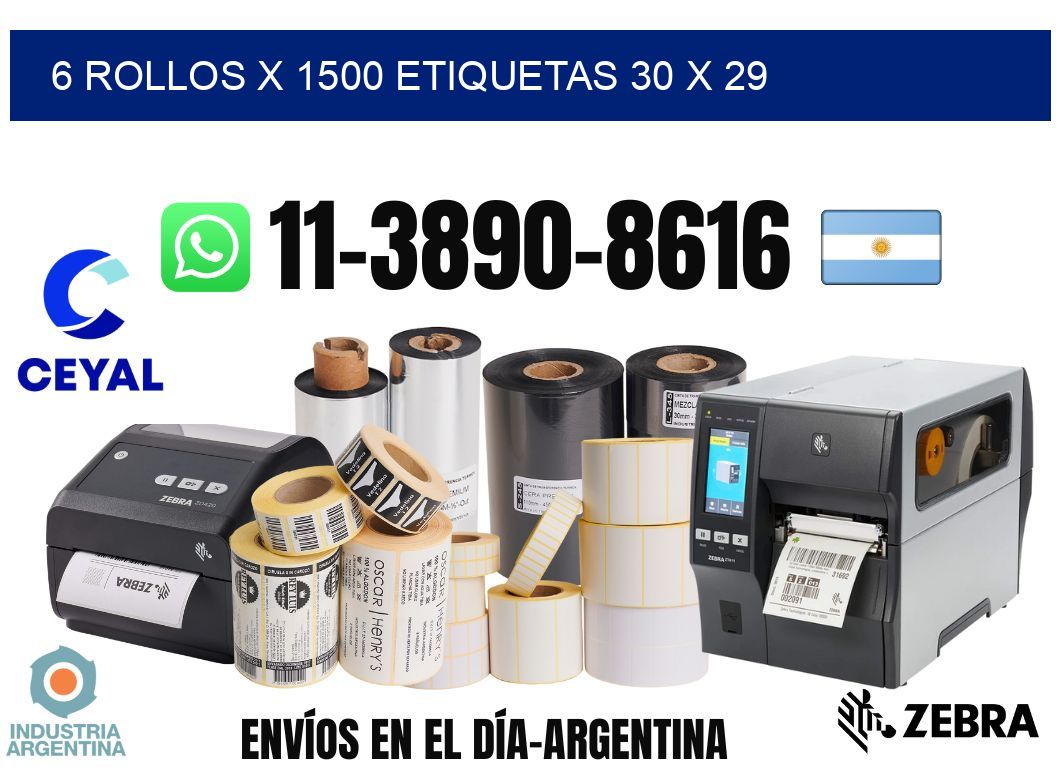 6 rollos x 1500 etiquetas 30 x 29