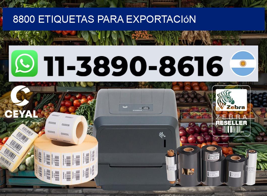 8800 Etiquetas para exportación