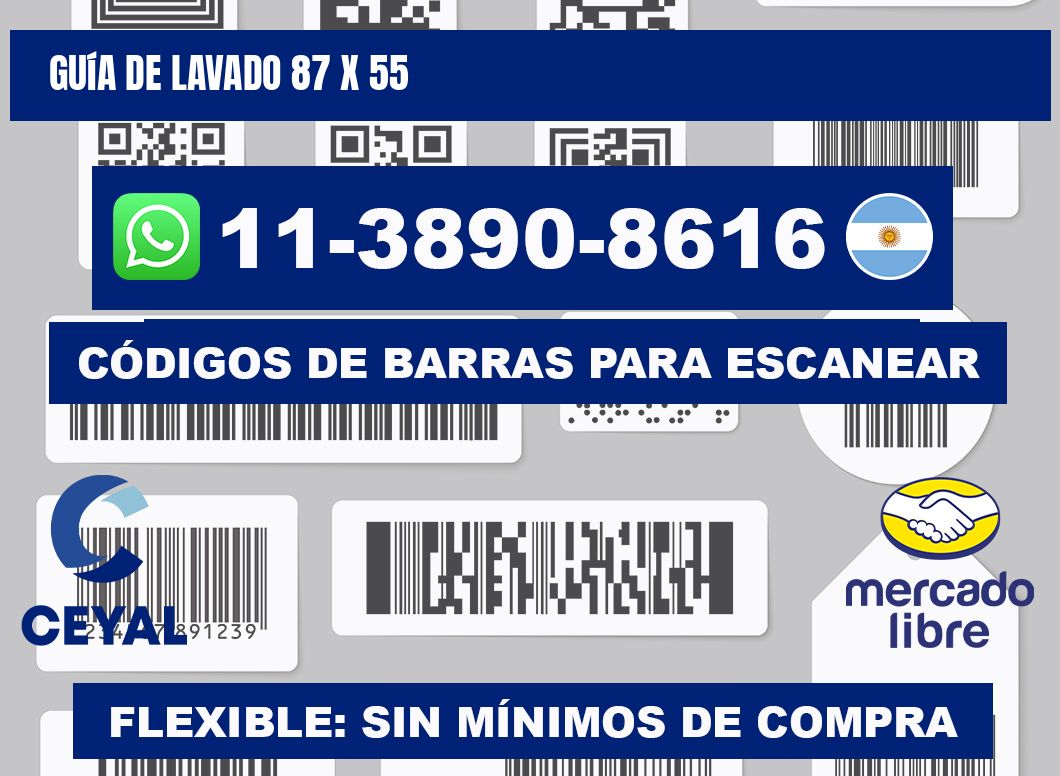 Guía de lavado 87 x 55