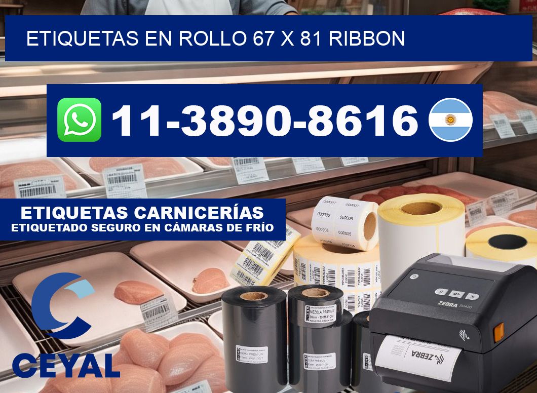 Etiquetas en rollo 67 x 81 ribbon