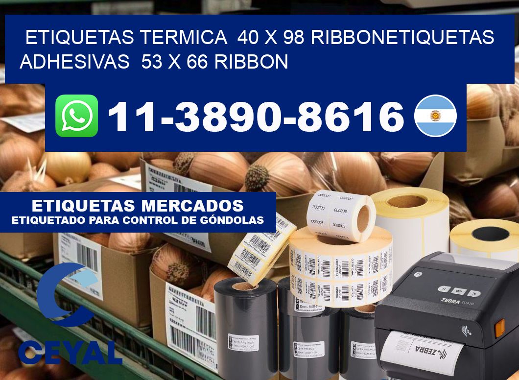 Etiquetas termica  40 x 98 ribbonEtiquetas adhesivas  53 x 66 ribbon