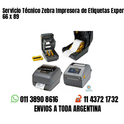 Servicio Técnico Zebra Impresora de Etiquetas Experto 66 x 89
