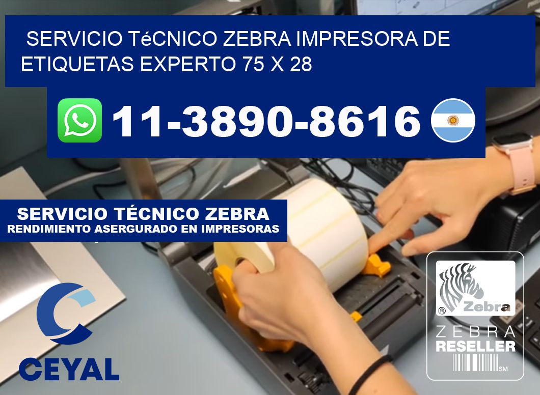 Servicio Técnico Zebra Impresora de Etiquetas Experto 75 x 28