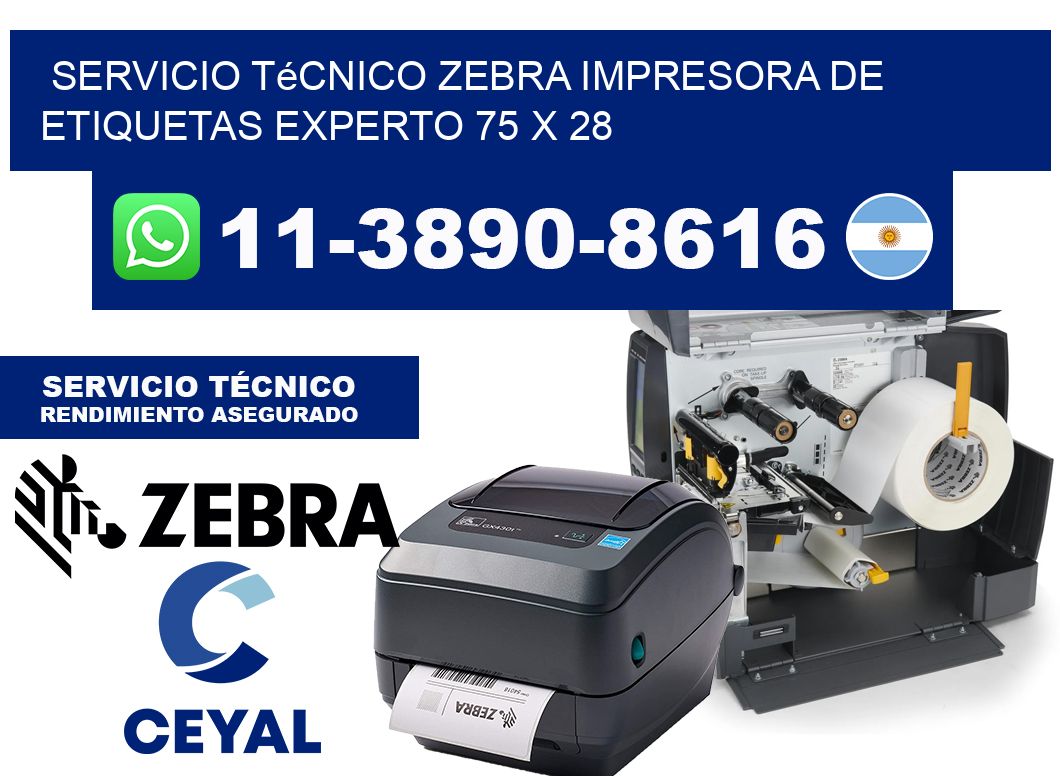 Servicio Técnico Zebra Impresora de Etiquetas Experto 75 x 28