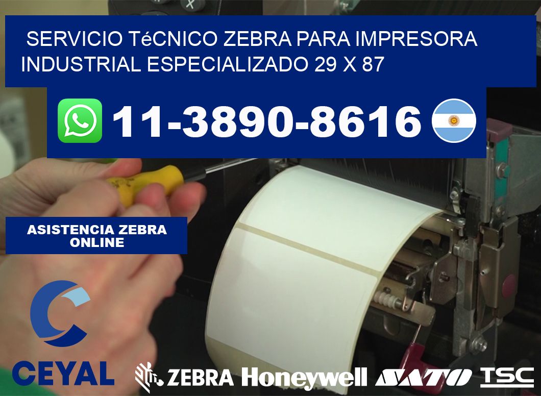 Servicio Técnico Zebra para Impresora Industrial Especializado 29 x 87