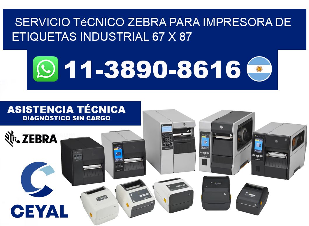 Servicio Técnico Zebra para Impresora de Etiquetas Industrial 67 x 87