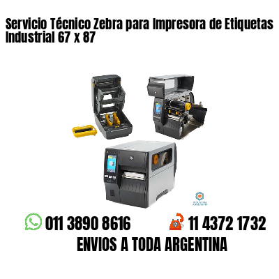 Servicio Técnico Zebra para Impresora de Etiquetas Industrial 67 x 87