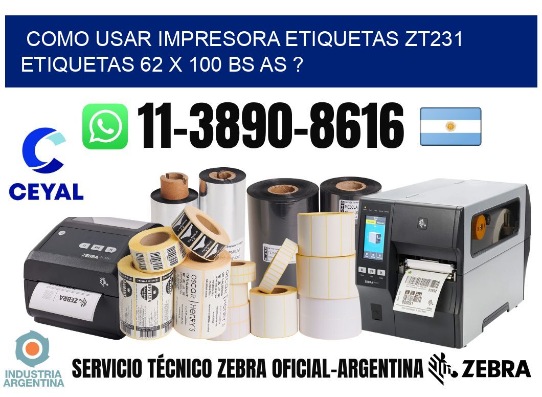 como usar impresora etiquetas zt231 etiquetas 62 x 100 BS AS ?