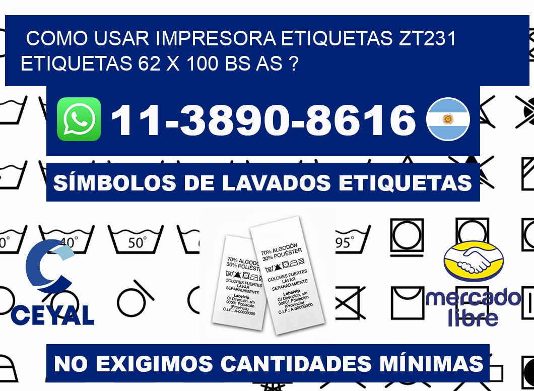 como usar impresora etiquetas zt231 etiquetas 62 x 100 BS AS ?