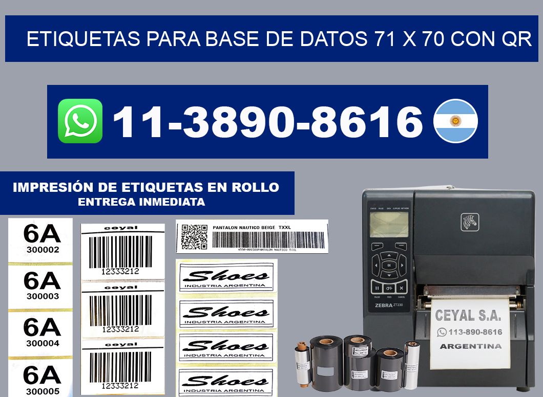 etiquetas para base de datos 71 x 70 con QR