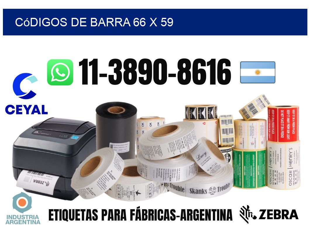 códigos de barra 66 x 59
