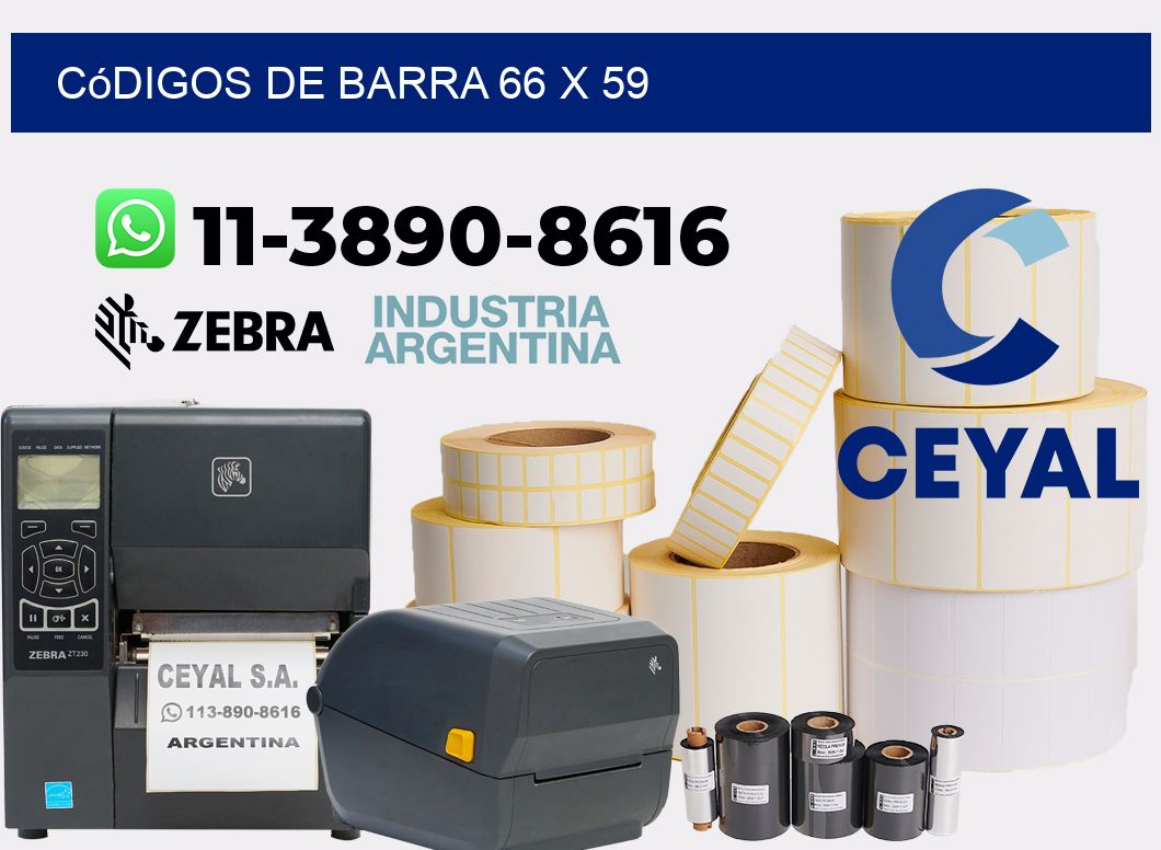 códigos de barra 66 x 59