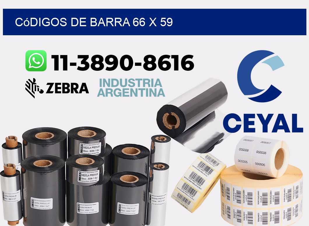 códigos de barra 66 x 59
