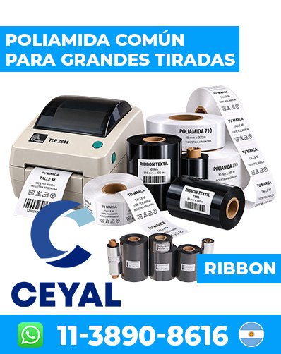 Impresora Zebra ZD220 Térmica Con Etiquetas Y Ribbon – La Salada argentina